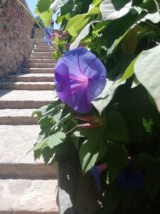Caldes de Montbui