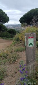 El maresme