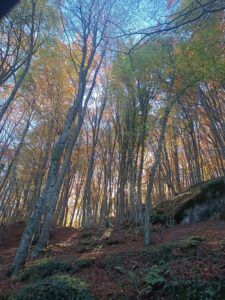 La Garrotxa