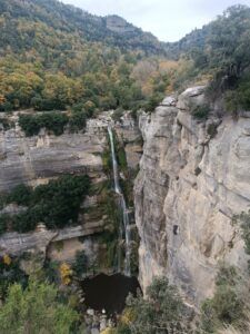 Rupit