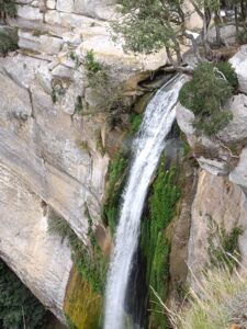 Rupit