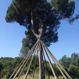 Sant Cugat