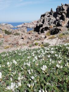 Cap de Creus
