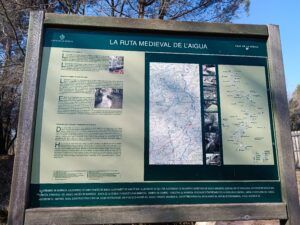 Transequia