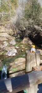 Les fonts del Llobregat