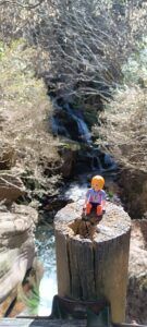Les fonts del Llobregat