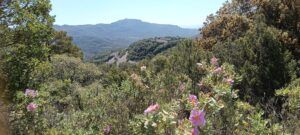 Parc Natural Sant Llorenç