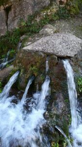 Parc Natural Sant Llorenç