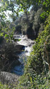 Parc Natural Sant Llorenç