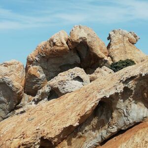 Cap de Creus