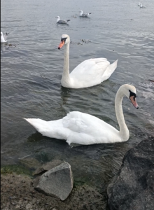 Göteborg