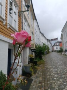 Bergen
