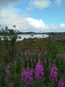 Lofoten