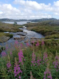Lofoten