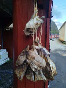 Lofoten